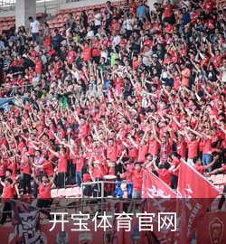 开宝体育官网案例